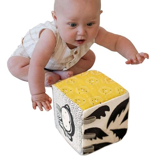 Wee Gallery Soft Block, Jungle - Sensory Stimulation Baby Toy, High Contrast for Vision, Organic Fabric, Crinkle Flap, Textures, Tags to Grip, Tummy Time Activity for Babies Ages 0-3-6-9-12-24 Months