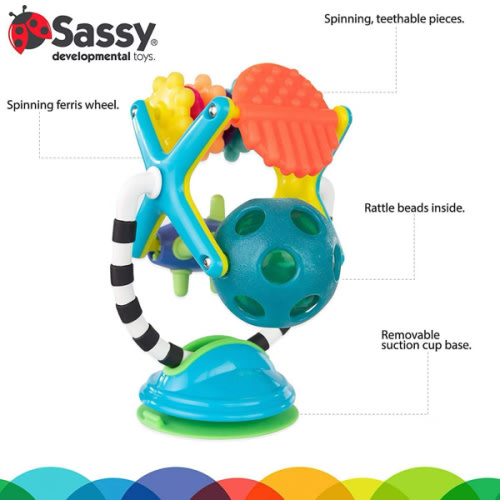 Sassy Teethe & Twirl Sensation Station Tray Toy