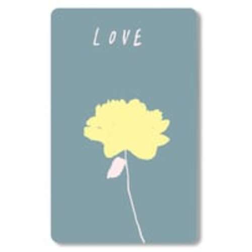 zara gift card