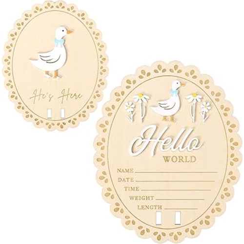 Newborn Announcement Sign, 5.9in Hello World Wooden Baby Boy Plaque Cute Silly One Goose and Daisy Newborn Welcome Board Perfect for Birth Photos Nursery Decor Baby Shower Gender Reveal Gift