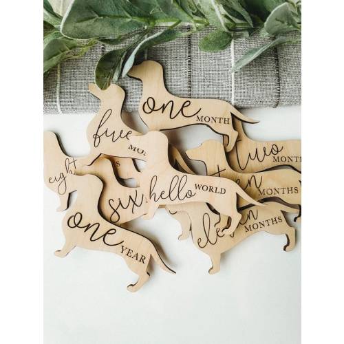 Dog Nursery Dachshund Monthly Milestone Plaques | Baby Shower Gift | Custom Weiner Dog Newborn Baby Gift for Dog Nursery
