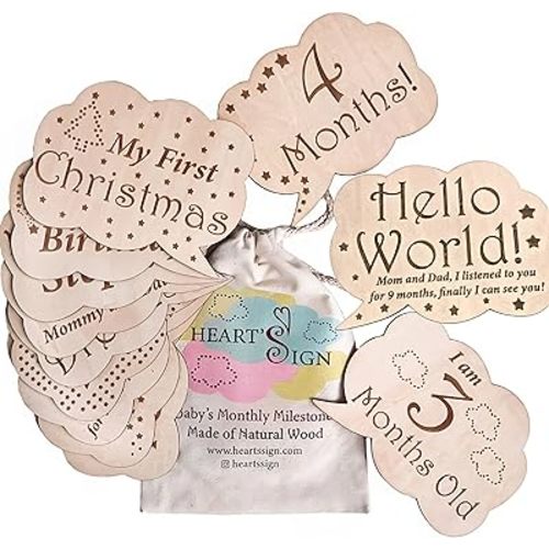 Heart's Sign 24 Designs Monthly Baby Milestone Cards - Monthly Milestone Wood Discs | Baby Photo Props