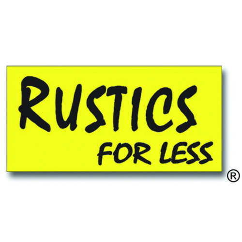 29.5"H Lab Table Lamp – Rustics for Less