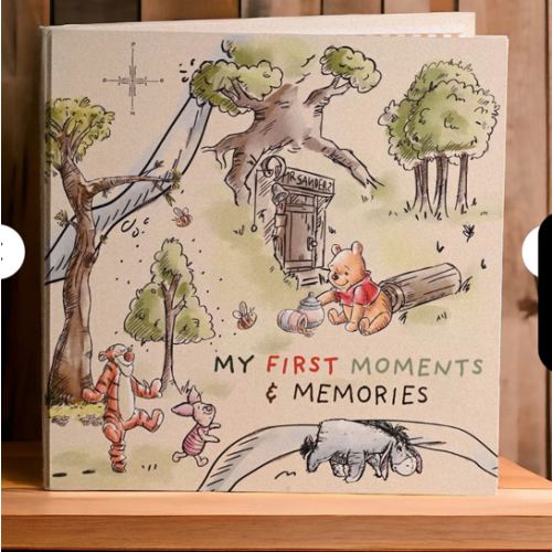 Disney Winnie the Pooh First Year Record Book