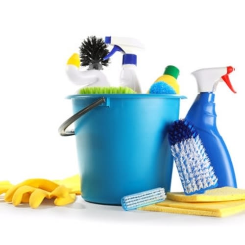 Professional Deep-Cleaning Fund