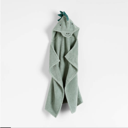 Dinosaur Organic Hooded Baby Towel