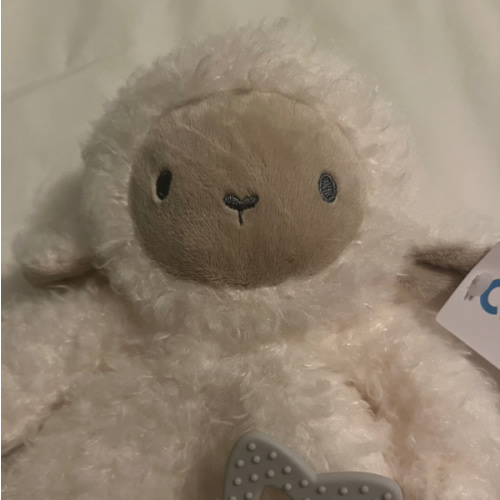 Baby Plush With Teether - Carter's | Carter's