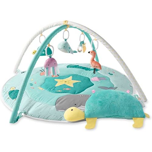 Simple Joys by Carter's Play Gym, by The Sea, One Size