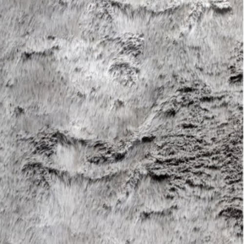 Runyon Rug | Rectangle Rugs