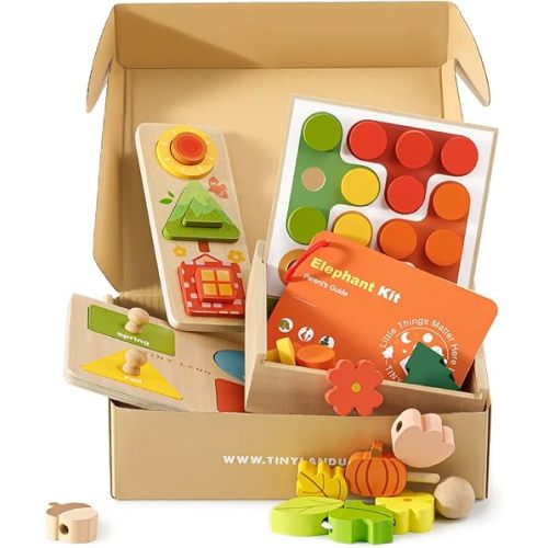 Tiny Land Montessori Toy Set for Babies 18-24 Months - 4-in-1 Wooden Learning Toys with Color Sorting, Lacing Beads, Shape Matching, and Seasons Puzzles