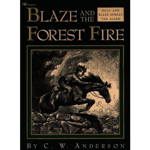 Blaze and the Forest Fire: Billy and Blaze Spread the Alarm Paperback – April 30, 1992