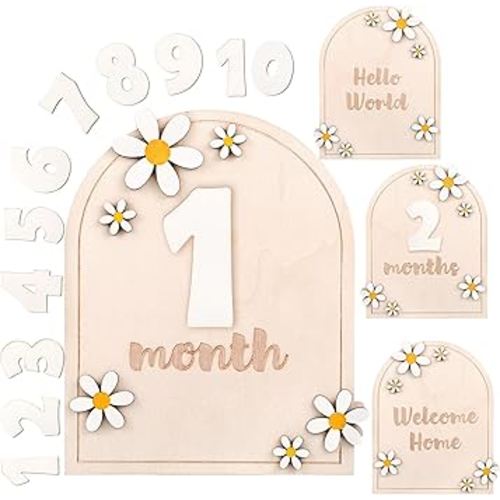 Baby Monthly Milestone Cards, 2 Pcs Baby Milestone Signs Milestone Wooden Circles with Interchangeable Numbers, 0-12 Months Newborn Photography Props for Girl Boy