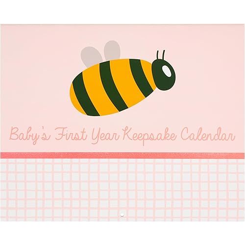Baby’s First Year Milestones Calendar