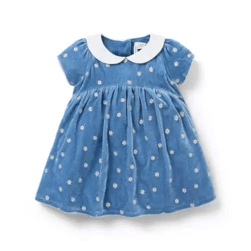 Baby Tamalpais Blue Baby Embroidered Floral Velvet Dress by Janie and Jack