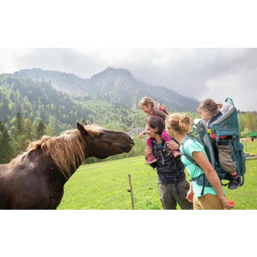 Deuter Kid Comfort Child Carrier Hiking Backpack I Active Standard Fit & Active SL Women's Fit