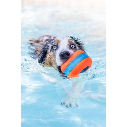 Chuckit! Amphibious Roller EVA Foam Fetch Dog Toy, for Medium to Large Dogs, Pack of 1, Orange