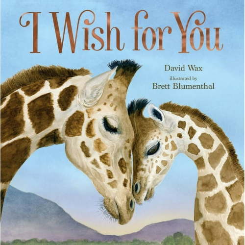 I Wish for You, (Hardcover)