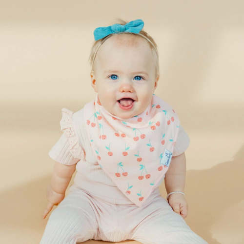 4 Pack Baby Bandana Bibs - Cheery
