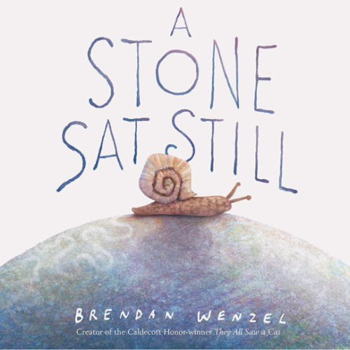 A Stone Sat Still: (Environmental and Nature Picture Book for Kids, Perspective Book for Preschool and Kindergarten, Award Winning Illustrator) (Brendan Wenzel)