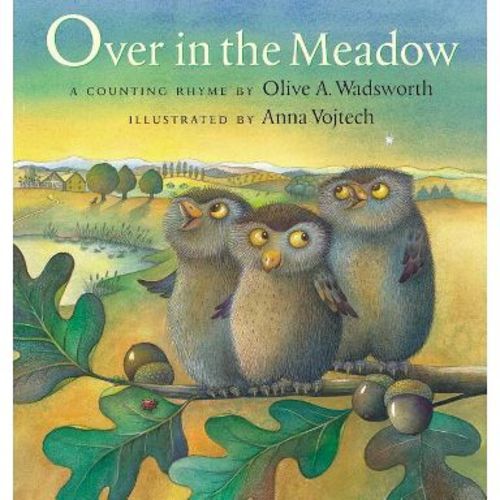 Over in the Meadow - (Cheshire Studio Book) by Olive A Wadsworth (Paperback)