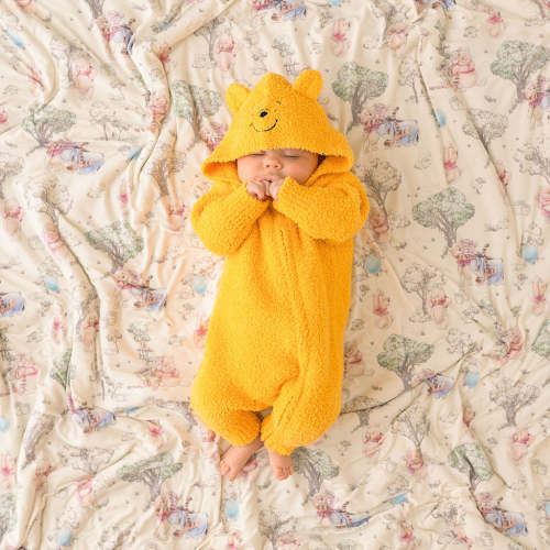 Disney Winnie the Pooh Cuddle Hooded Romper