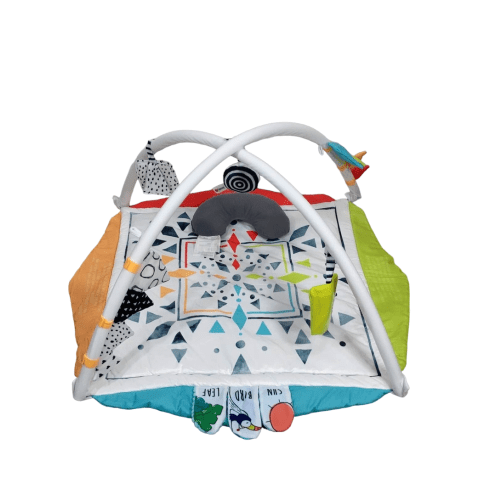 Sassy Hello Baby Milestone Play Gym