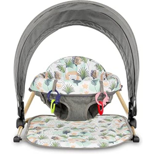 Dream On Me Snug N' Play Floor Seat and Canopy, Lion Head