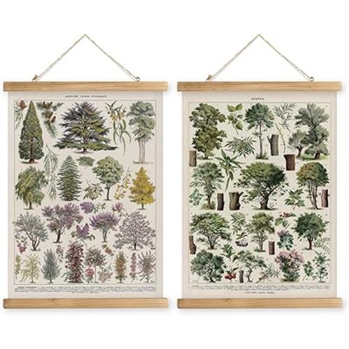 MIDEFINCH Vintage Botanical Wall Art Set - Set of 2 Retro Tree and Plant Illustrations, Hanging Wooden Frame Posters for Home Decor, 16x23 Inches