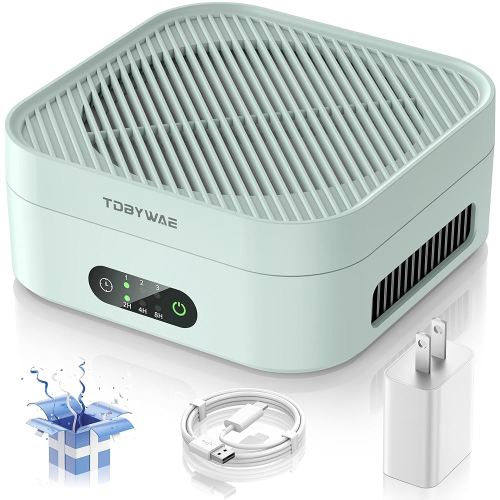 Air Purifiers for Home 600 Sq.Ft, TDBYWAE H13 True HEPA Air Purifier with USB Cable for Pets Dust Dander Pollen Odor Smoke, Small Portable Air Purifier for Bedroom Office Desktop Car RV (Green)