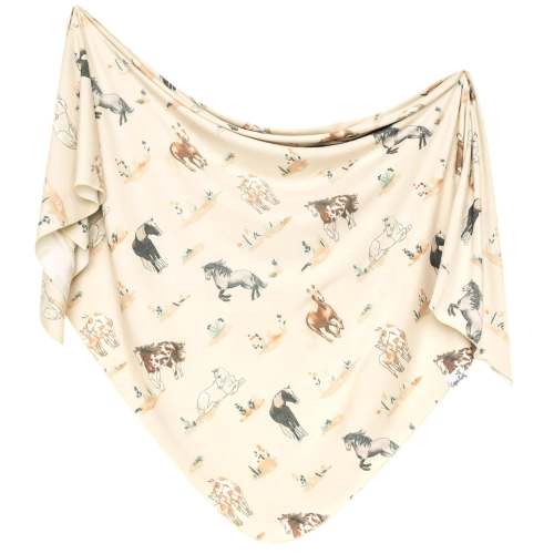 Couverture -  Montana