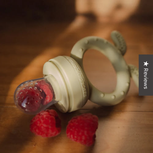 Teether ~ Nasty Free ~ Mint – A Thousand Roses Store