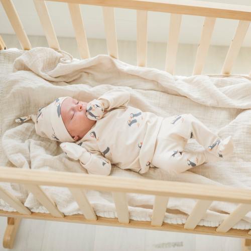 Puffin Baby Outfit Set: Organic Cotton Knit, Preemie-3 Months - Size: 3-6 months US kids' numeric