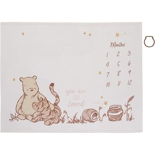 NoJo Disney Classic Winnie The Pooh Milestone Baby Blanket, Ivory and Taupe, 40 x 50 Inch, Monthly Photo Prop with Character Design (Officially Licensed Product)