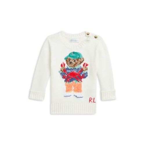 Polo Boys' Polo Bear Cotton Sweater - Baby