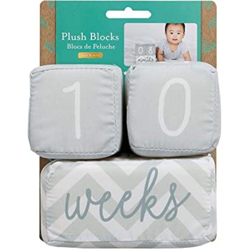 Kate & Milo Baby Milestone Markers, Baby Month Plush Blocks, New and Expecting Moms Gift, Baby Age Milestone Keepsakes, Newborn Photo Props