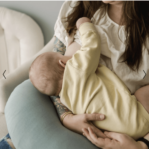 Feeding Support Cover | Slate