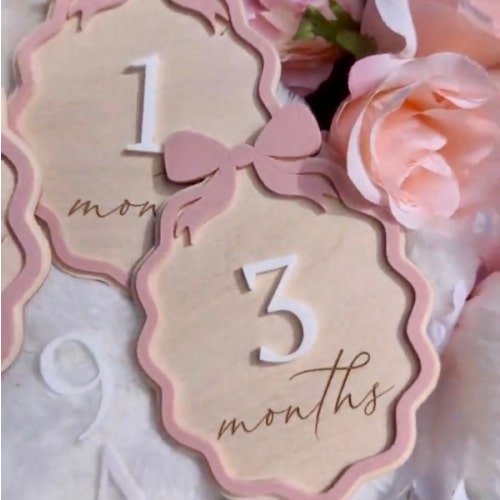 Personalized Monthly Milestone Set| Custom Baby Shower Gift for Girls|monthly Milestone With Bow|color Blush