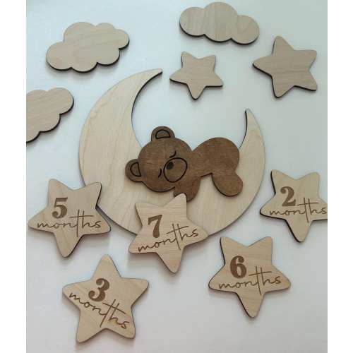 Teddy Bear Monthly Milestone Card |Bear On The Moon | Baby Photo Prop | Interchangeable Card | Baby Shower Gift| Personalized Monthly