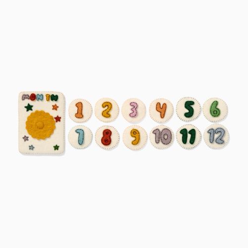 Felt Month Baby Milestone Card Set