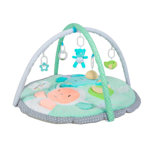 Gimnasio Didáctico Carestino Amigos Carestino