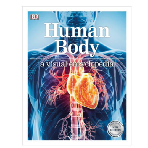 Human Body: A Visual Encyclopedia by DK, Paperback | Barnes & Noble®