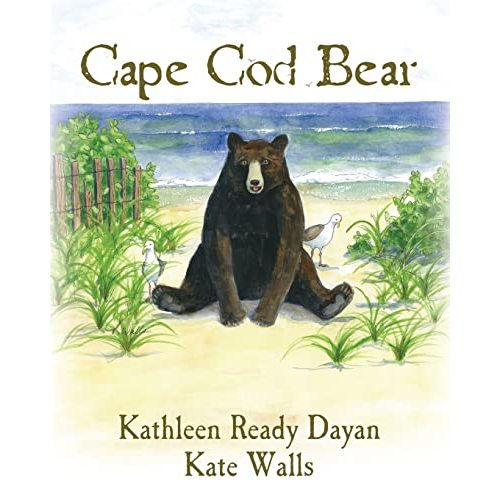 Cape Cod Bear