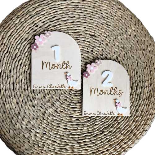 Personalized Silly Goose Monthly Milestones - Floral Baby Girl Gift & Baby Shower Idea