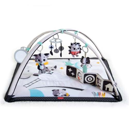 Magical Tales Black & White Gymini - White