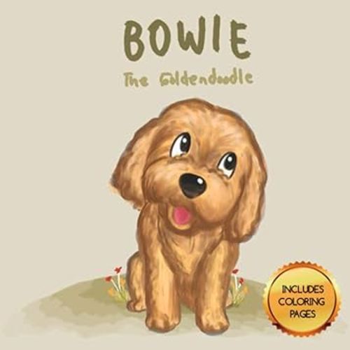 Bowie - The Goldendoodle
