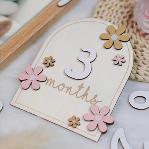 Baby Monthly Milestone Cards - Wooden Monthly Milestone Discs