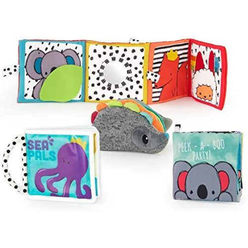 Sassy Rookie Books Baby Box - 2+ Months