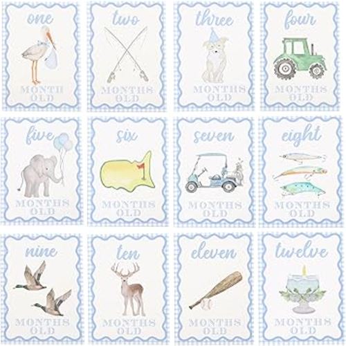 WAUAO Gingham Milestone Monthly Cards - My First Milestone Cards, Baby Shower Photo Props,Baby Milestone Monthly Memories,Boys/Girls Photo Props (blue)