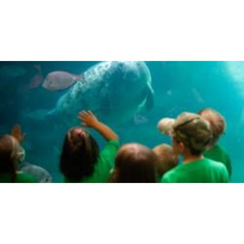 Zoo Membership | Columbus Zoo and Aquarium