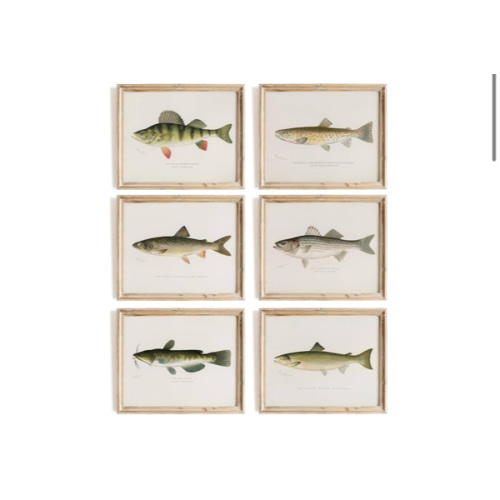 Fish Wall Art Prints (Set of 6) - Unframed - 8x10s | Vintage Fishing Decor - Reproductions of Vintage Fish Drawings - Midwest Fish Species - Great Gift for Fisherman